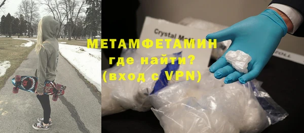 прущие грибы Коряжма