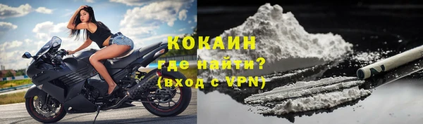 прущие грибы Коряжма