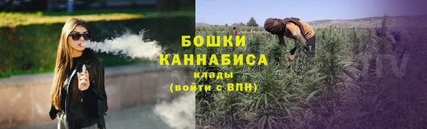 прущие грибы Коряжма