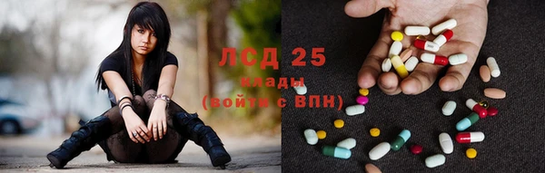 прущие грибы Коряжма