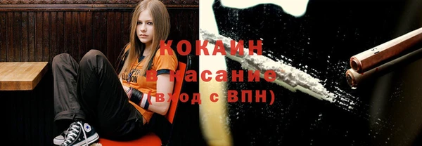 гашик Козельск