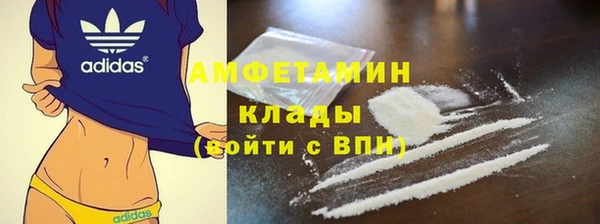 прущие грибы Коряжма