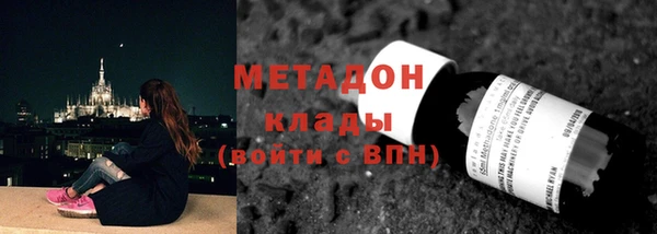 прущие грибы Коряжма