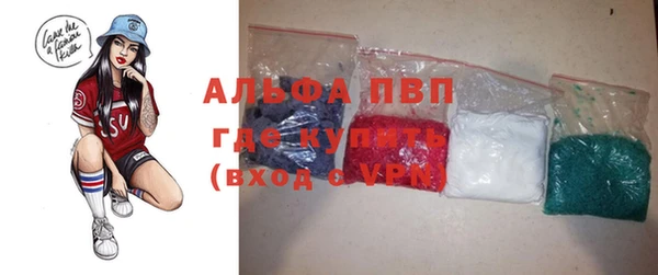 прущие грибы Коряжма