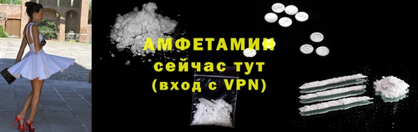 прущие грибы Коряжма