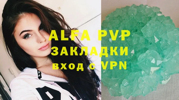 прущие грибы Коряжма