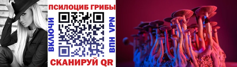 darknet клад  купить  сайты  Мантурово  Галлюциногенные грибы прущие грибы 